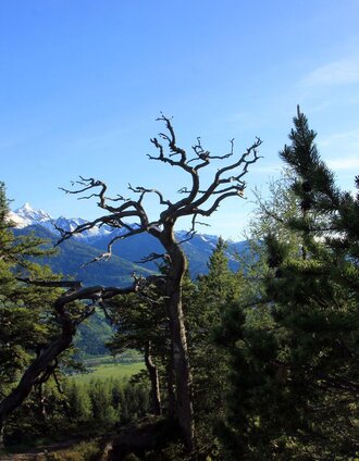 Blick vom Freienstein | Schladming Dachstein | © Erlebnisregion Schladming-Dachstein