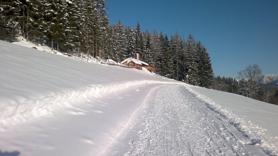 Winter Hiking Sattelberg Trail - Touren-Impression #2.1 | © Sattelberghütte