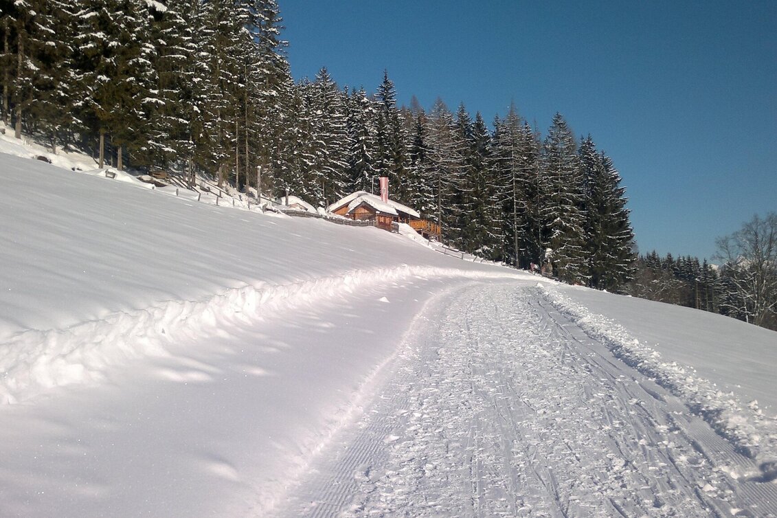 Winter Hiking Sattelberg Trail - Touren-Impression #1 | © Sattelberghütte