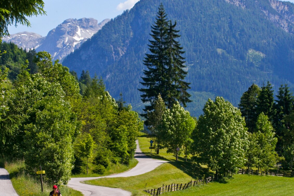 Radfahren Etappe 01 Ennsradweg Flachauwinkl - Schladming - Touren-Impression #1 | © Steiermark Tourismus