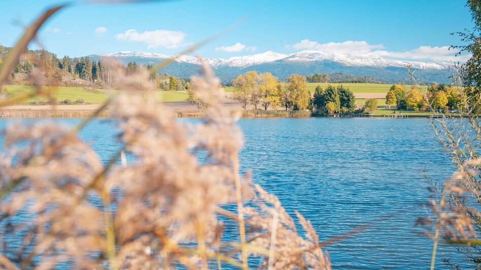 Wanderung Furtner Teich Rundwanderweg - Touren-Impression #2.2 | © Tourismusverband Murau