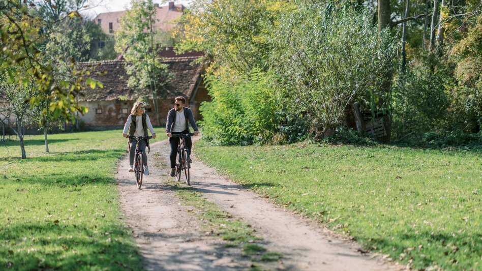 Radfahren Käferbohnentour mit Panoramasicht - Touren-Impression #2.6 | © Oststeiermark Tourismus