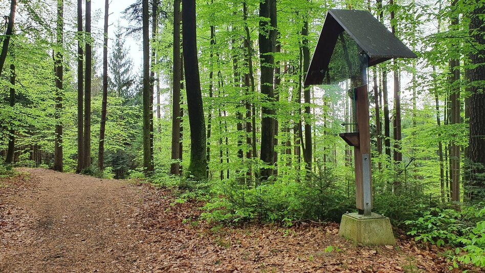 Themed Nature Trail In the footsteps of pilgrims in the Raab Valley - the Unterfladnitz Way of the Cross - Touren-Impression #2.6 | © Günther Steininger