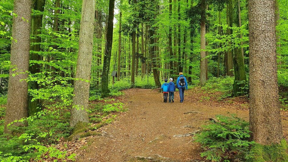 Themed Nature Trail In the footsteps of pilgrims in the Raab Valley - the Unterfladnitz Way of the Cross - Touren-Impression #2.7 | © Günther Steininger