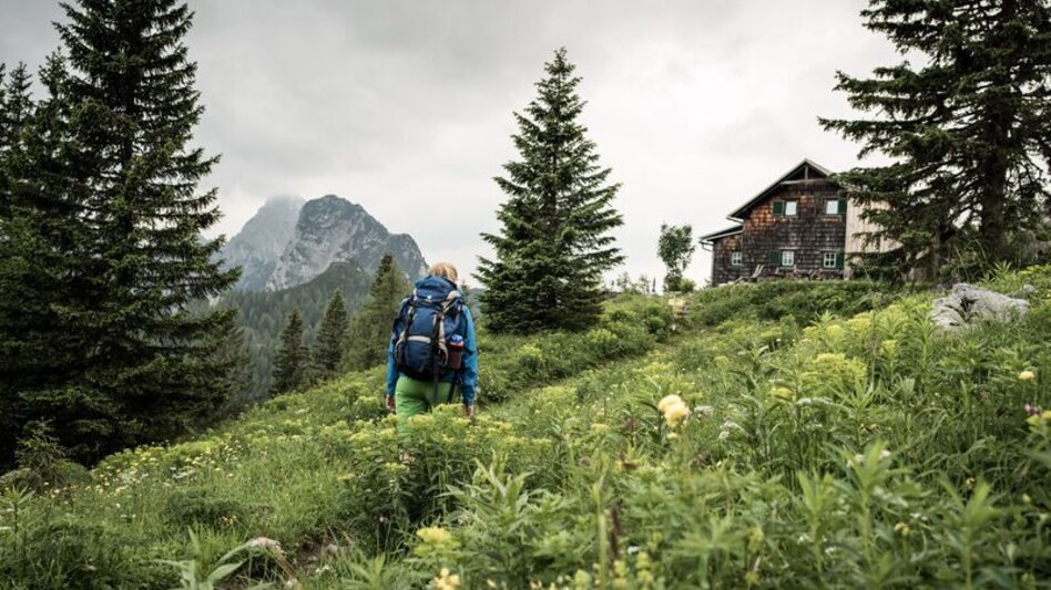 Mountain Hike Via the Tamischbach to the Ennstalerhütte and the Tamischbachturm - Touren-Impression #2.4 | © TV Gesäuse