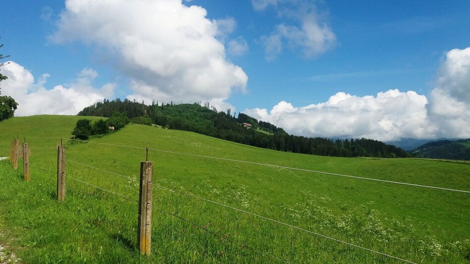 Wanderung Durch einen  schönen Hochwald (4) - Touren-Impression #2.1 | © Region Graz