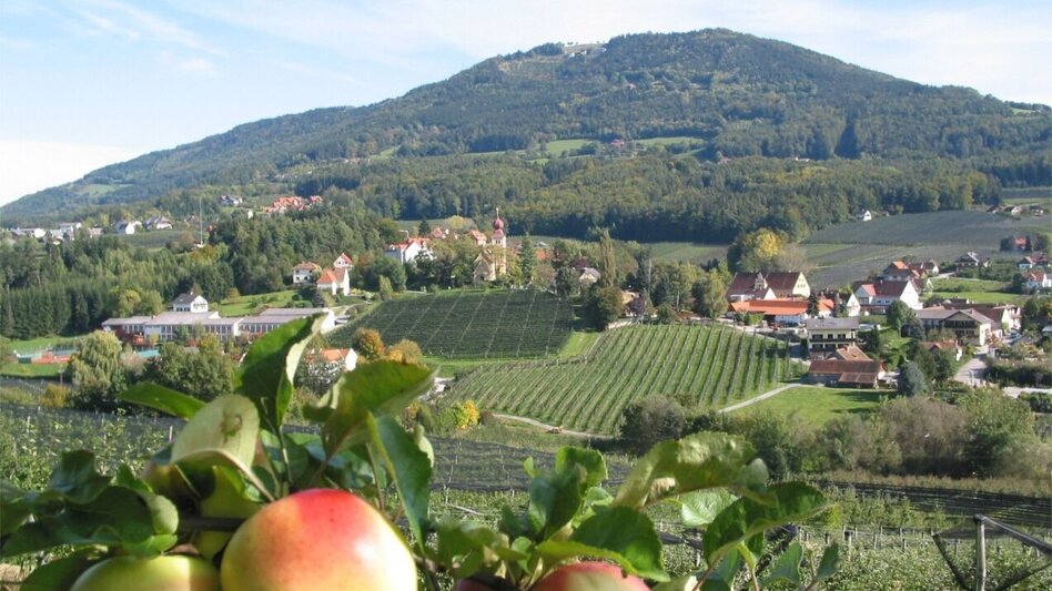 Radfahren Apfel-Tour WZ16, Floing - Touren-Impression #2.4 | © Oststeiermark Tourismus