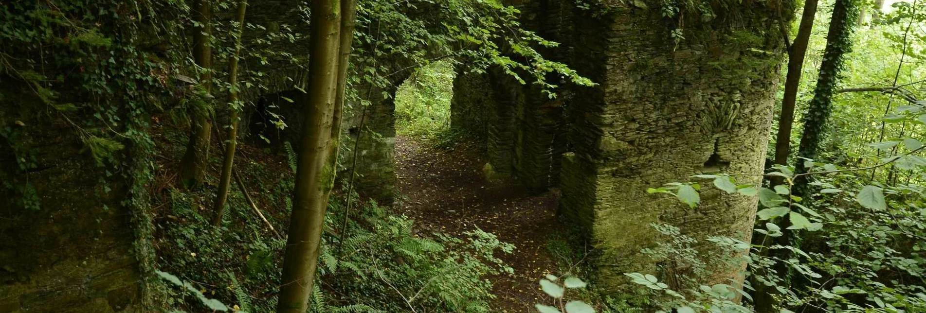 Hiking route Ruinen-Runde: Von Alt Leonroth bis Neu Leonroth - Touren-Impression #1 | © Community