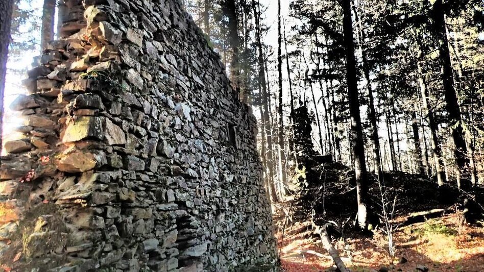 Wanderung Ruinen-Runde: Von Alt Leonroth bis Neu Leonroth - Touren-Impression #2.6 | © Region Graz