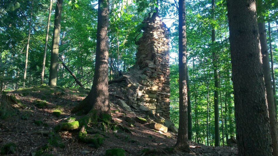 Wanderung Ruinen-Runde: Von Alt Leonroth bis Neu Leonroth - Touren-Impression #2.10 | © Region Graz