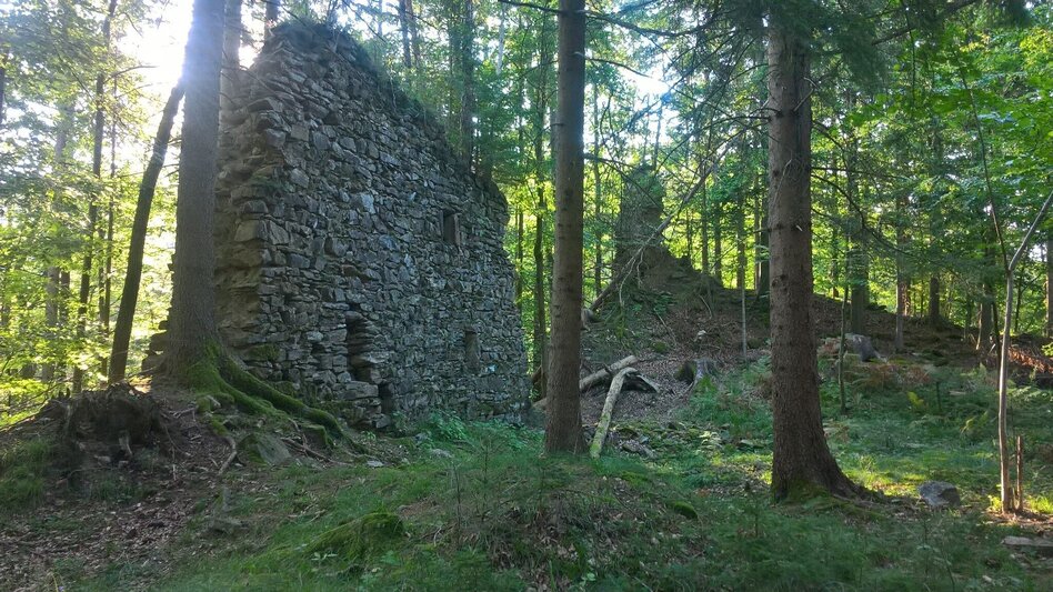 Wanderung Ruinen-Runde: Von Alt Leonroth bis Neu Leonroth - Touren-Impression #2.11 | © Region Graz