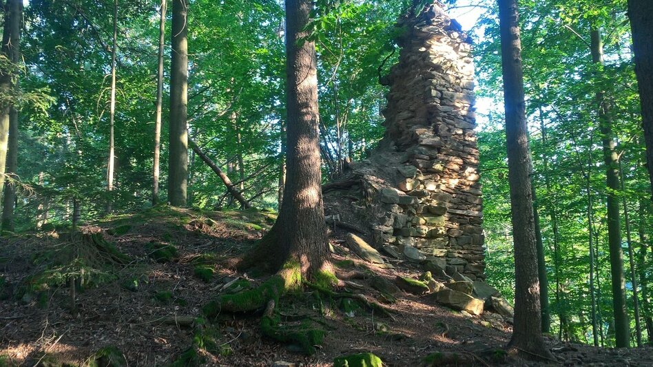 Wanderung Ruinen-Runde: Von Alt Leonroth bis Neu Leonroth - Touren-Impression #2.12 | © Region Graz