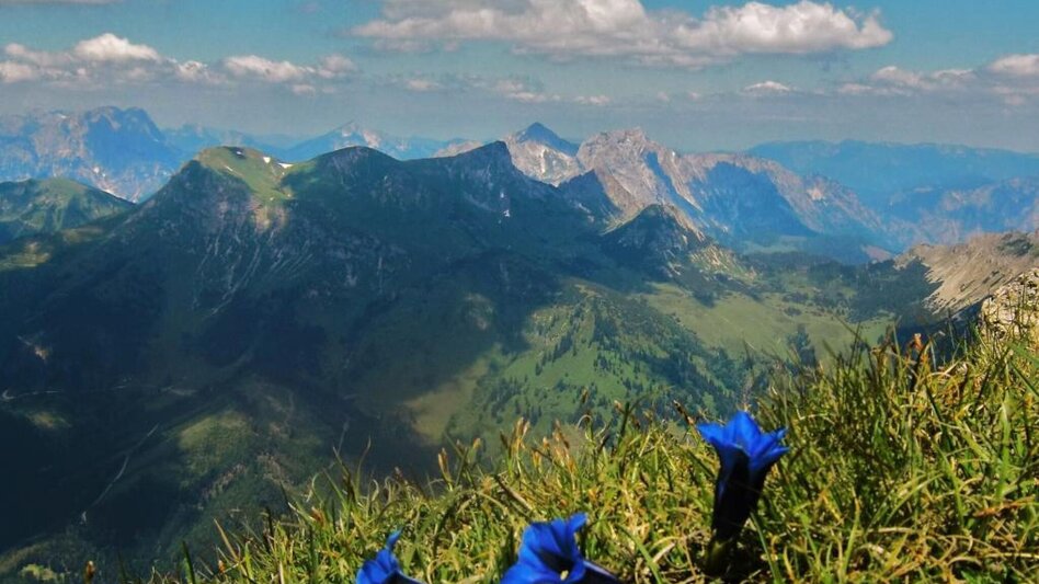 Mountain Hike Reiting - the mountain of flowers - Touren-Impression #2.1 | © TV Hochsteiermark