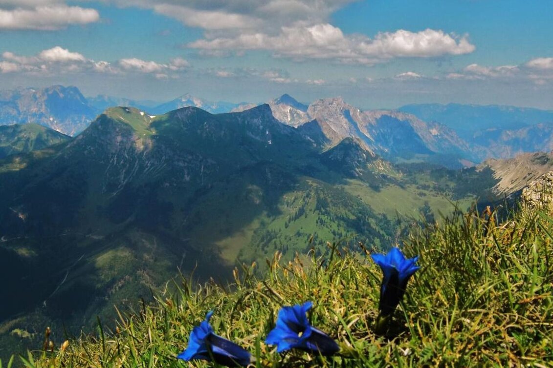 Mountain Hike Reiting - the mountain of flowers - Touren-Impression #1 | © TV Hochsteiermark