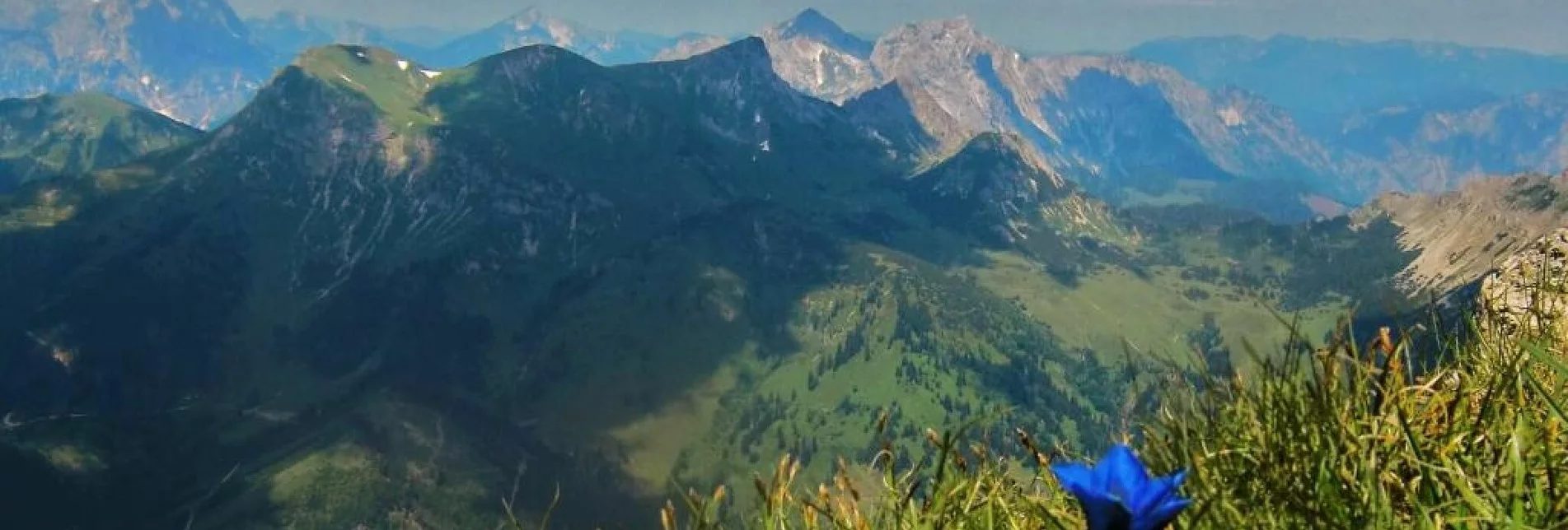 Mountain Hike Reiting - the mountain of flowers - Touren-Impression #1 | © TV Hochsteiermark