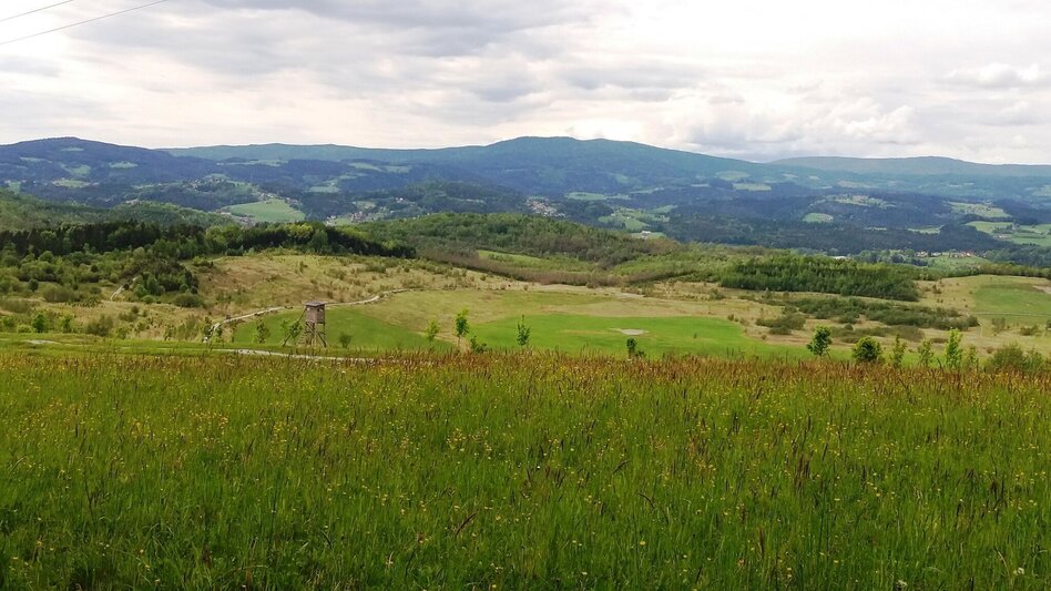 Wanderung Auf ins Tregisttal (1) - Touren-Impression #2.5 | © Region Graz
