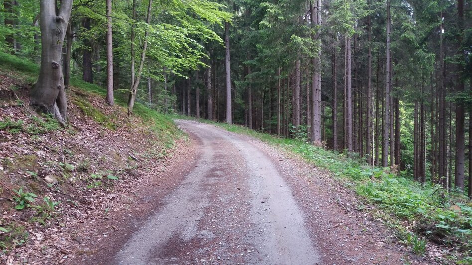 Wanderung Auf ins Tregisttal (1) - Touren-Impression #2.10 | © Region Graz