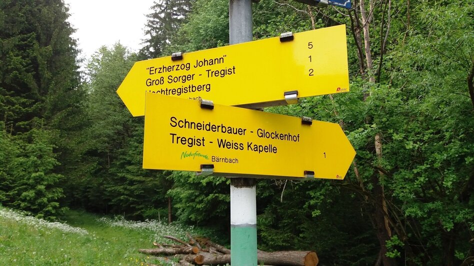 Wanderung Auf ins Tregisttal (1) - Touren-Impression #2.11 | © Region Graz