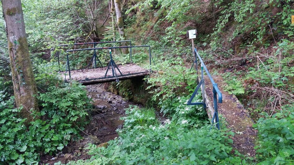 Wanderung Auf ins Tregisttal (1) - Touren-Impression #2.12 | © Region Graz