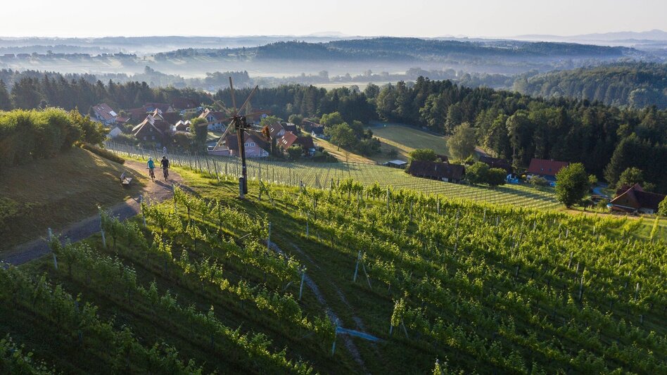 Cycling Ölspur-große Familientour - Touren-Impression #2.1 | © TVB Südsteiermark - Schilcherland Steiermark