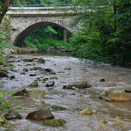 Rund ums Velka, um den Fluss Velka herum | © Südsteiermark