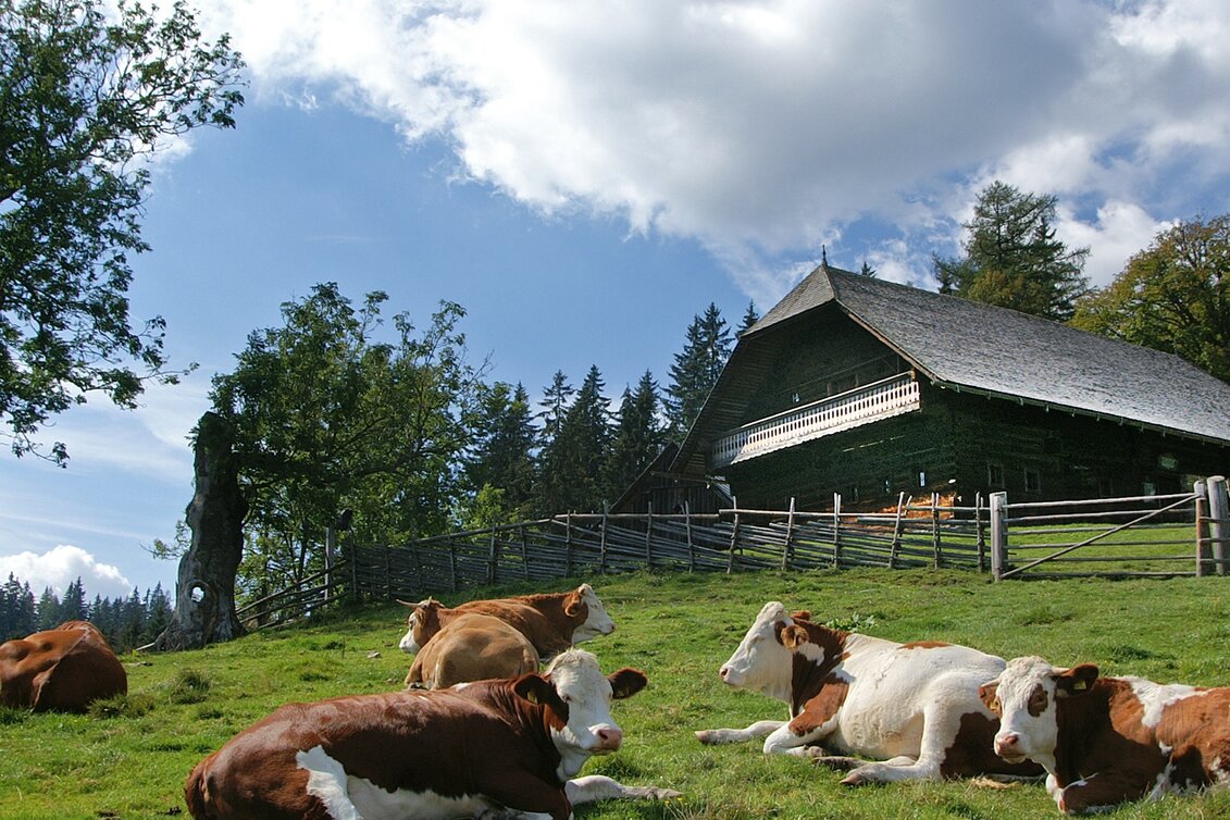 Wanderung Etappe 09 B Mariazeller Weg Auf der Schanz - Krieglach - Touren-Impression #1 | © TV Hochsteiermark