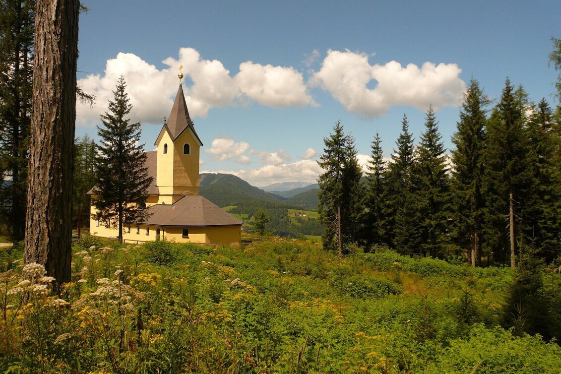 Wanderung Kalkberg-Runde - Touren-Impression #1 | © Tourismusverband Murau