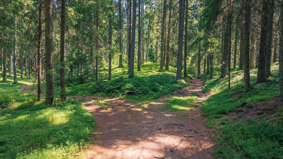 Wanderung Kalkberg-Runde - Touren-Impression #2.3 | © TVB Murau