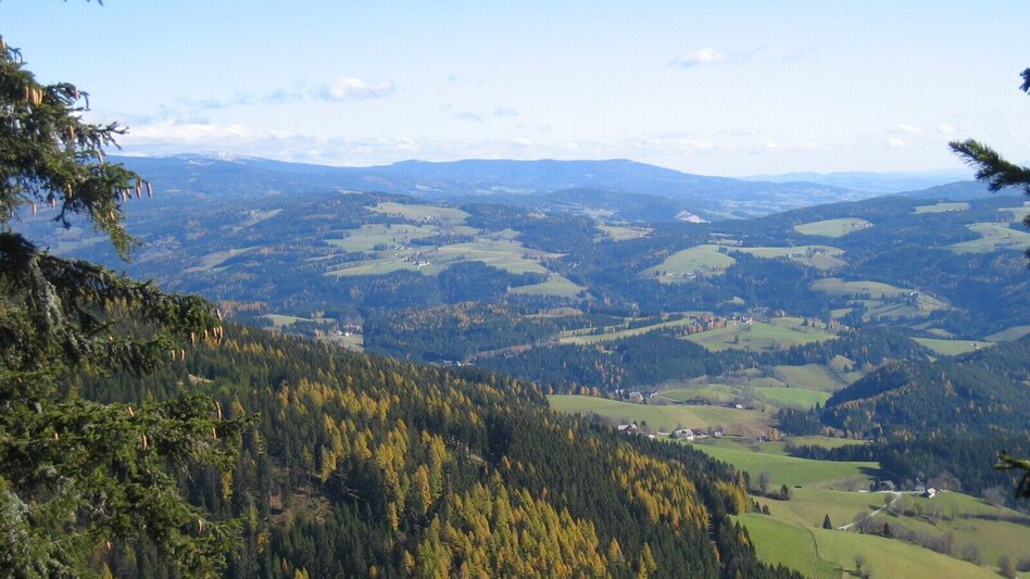 Wanderung Waldtoni-Teufelstein-Runde, Fischbach - Touren-Impression #2.2 | © Oststeiermark Tourismus