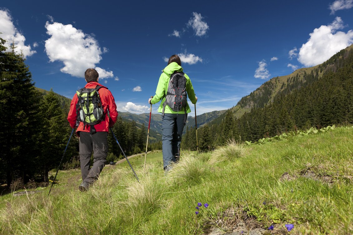 Hiking Route Stage 03 Hemma Pilgrimage Route Donnersbachwald-Oberwölz - Touren-Impression #1 | © Steiermark Tourismus