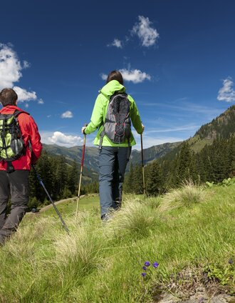 224748-2220__hemma-pilgerweg__donnersbachwald_.jpg | Harry Schiffer | © Steiermark Tourismus