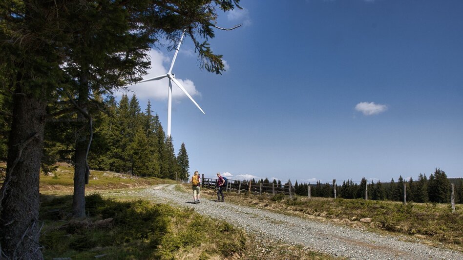 Wanderung Oswalder Rundweg - Touren-Impression #2.2 | © TV Südsteiermark - WEGES