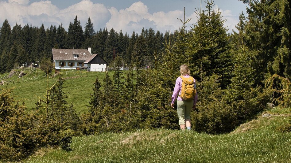 Wanderung Oswalder Rundweg - Touren-Impression #2.4 | © TV Südsteiermark - WEGES