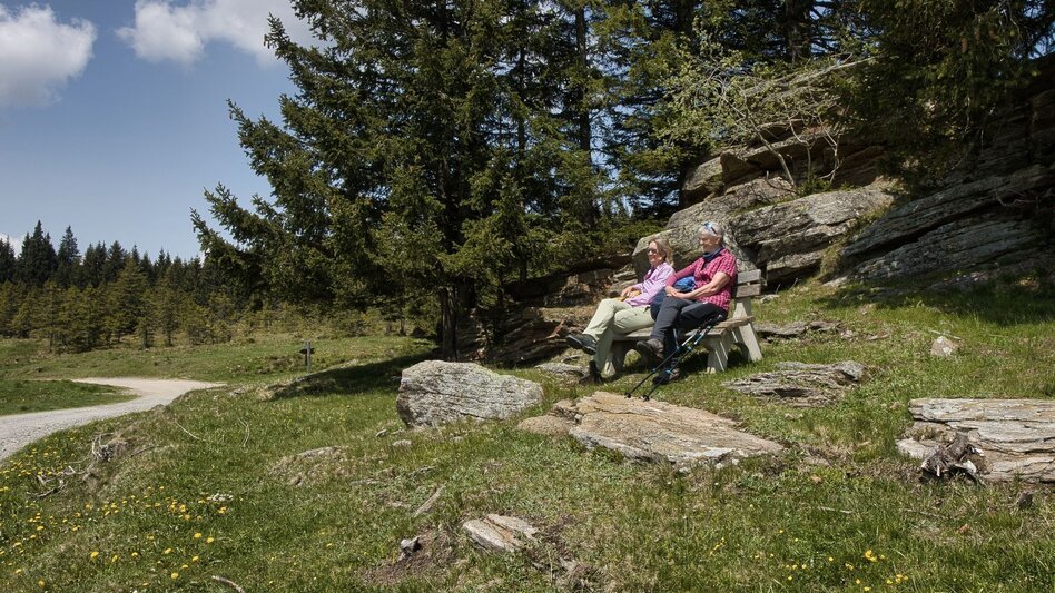 Wanderung Oswalder Rundweg - Touren-Impression #2.7 | © TV Südsteiermark - WEGES