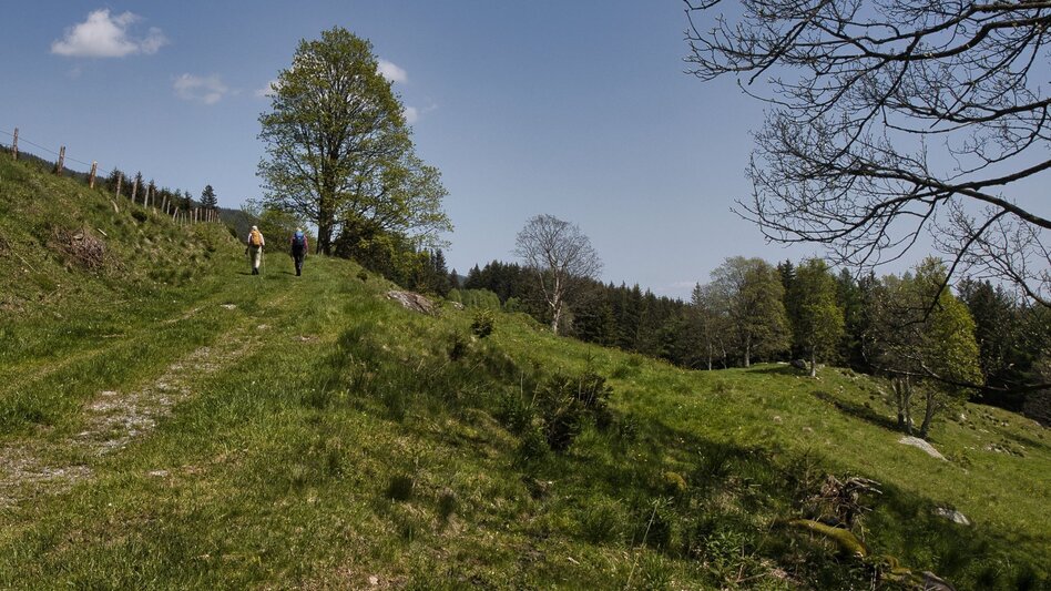 Wanderung Oswalder Rundweg - Touren-Impression #2.8 | © TV Südsteiermark - WEGES
