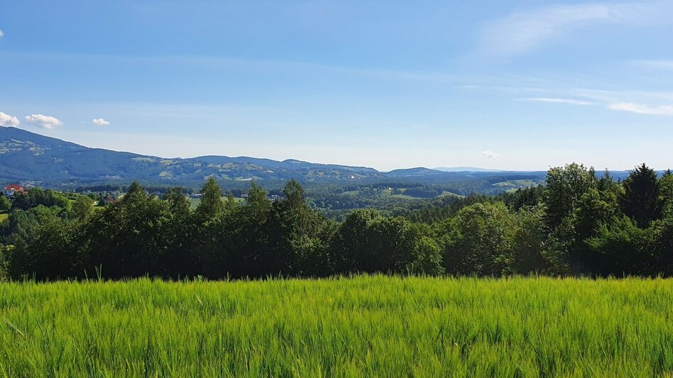 Cycling Ilztal Cycle Path R10 - Touren-Impression #2.4 | © Oststeiermark Tourismus