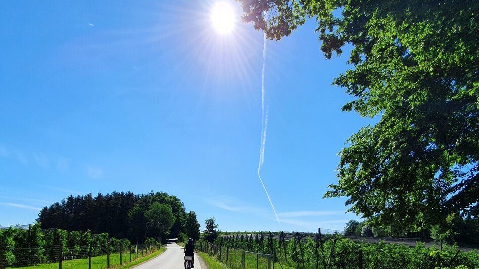 Cycling Ilztal Cycle Path R10 - Touren-Impression #2.7 | © Oststeiermark Tourismus