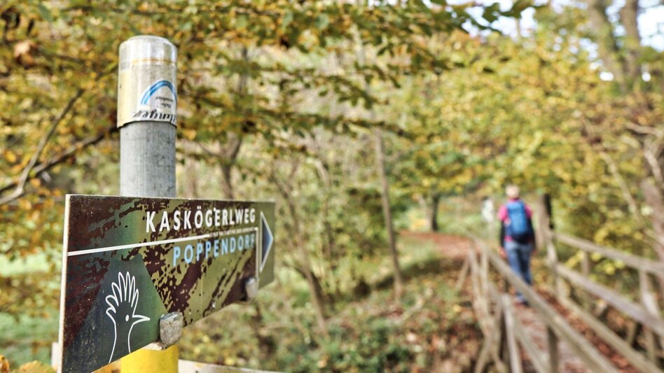 Themen- und Lehrpfad Kaskögerlweg - Poppendorf bei Gnas - Touren-Impression #2.3 | © Thermen- & Vulkanland