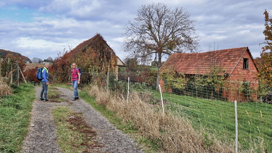 Themen- und Lehrpfad Kaskögerlweg - Poppendorf bei Gnas - Touren-Impression #2.7 | © Thermen- & Vulkanland