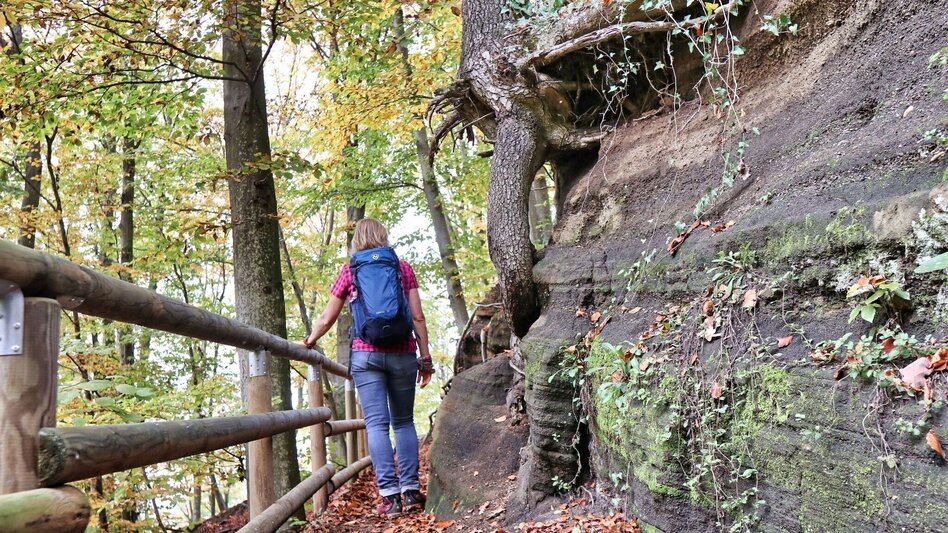 Themen- und Lehrpfad Kaskögerlweg - Poppendorf bei Gnas - Touren-Impression #2.8 | © Thermen- & Vulkanland