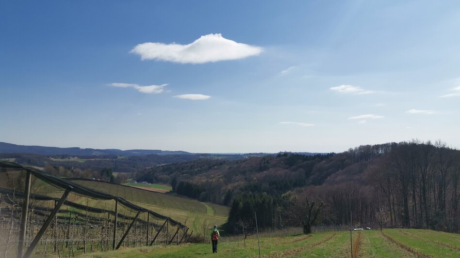 Themen- und Lehrpfad Kaskögerlweg - Poppendorf bei Gnas - Touren-Impression #2.14 | © Thermen- & Vulkanland