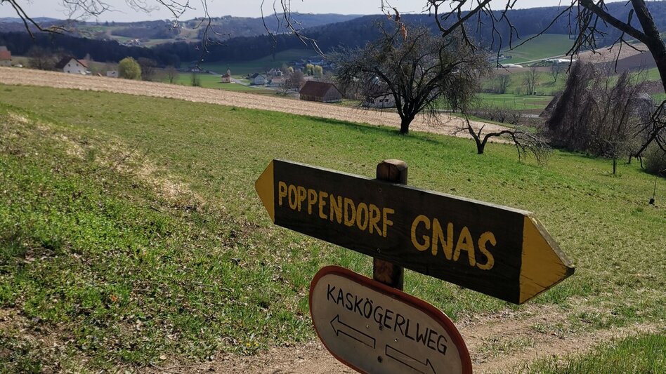 Themen- und Lehrpfad Kaskögerlweg - Poppendorf bei Gnas - Touren-Impression #2.16 | © Thermen- & Vulkanland