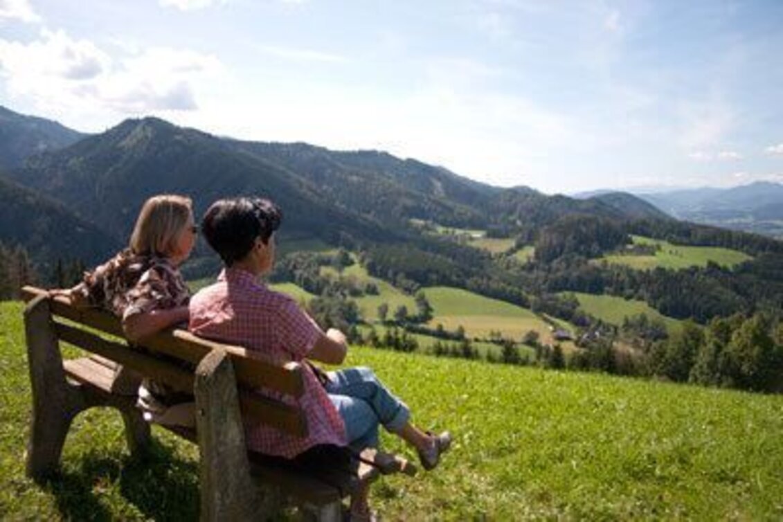 Wanderung 3 Täler-Wanderweg - Touren-Impression #1 | © TV Hochsteiermark