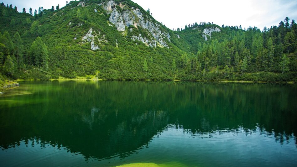 Water Trail Grafenbergalm via Ahornsee and Grafenbergsee lakes - Touren-Impression #2.5 | © TVB Haus-Aich-Gössenberg