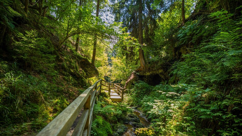 Long-Distance Hiking Trail Stage 2 Via Natura: Nature as a source of inspiration - Touren-Impression #2.2 | © TV Murau