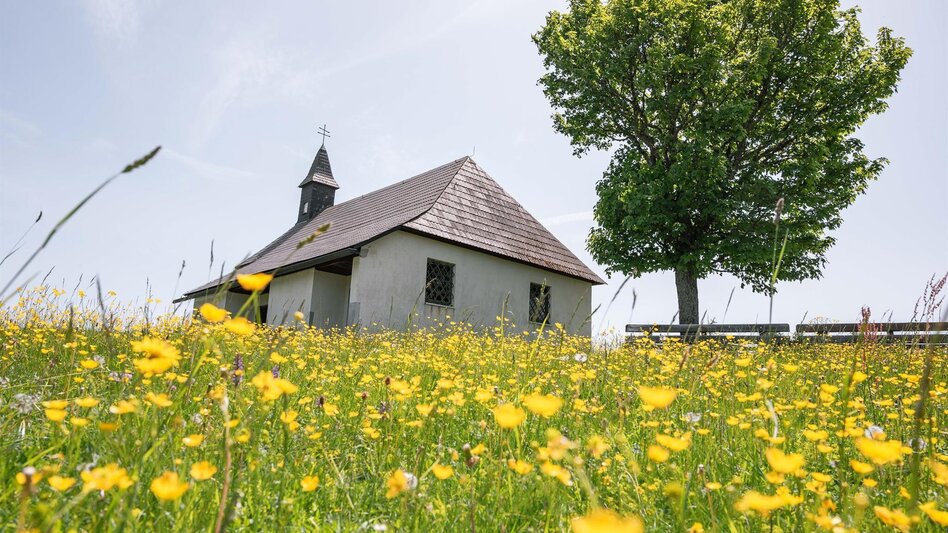 Long-Distance Hiking Trail Stage 2 Via Natura: Nature as a source of inspiration - Touren-Impression #2.4 | © Tourismusverband Murau