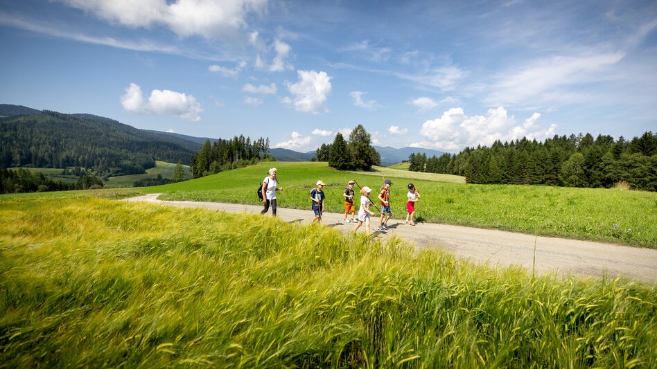 Themen- und Lehrpfad Hans im Glück Wandermärchen - Touren-Impression #2.1 | © TVB Murau