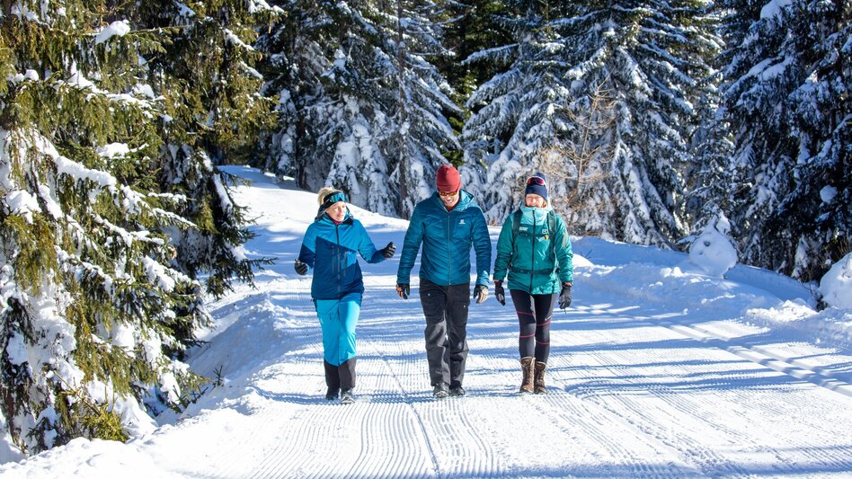 Winter Hiking Rittisberg Trail - Touren-Impression #2.2 | © Photo Austria - Hans-Peter Steiner