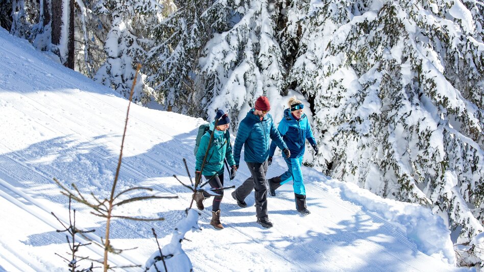 Winter Hiking Rittisberg Trail - Touren-Impression #2.3 | © Photo Austria - Hans-Peter Steiner