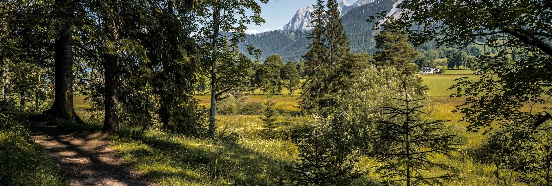 Hiking route Panorama Loop Trail East - Touren-Impression #1 | © Erlebnisregion Schladming-Dachstein